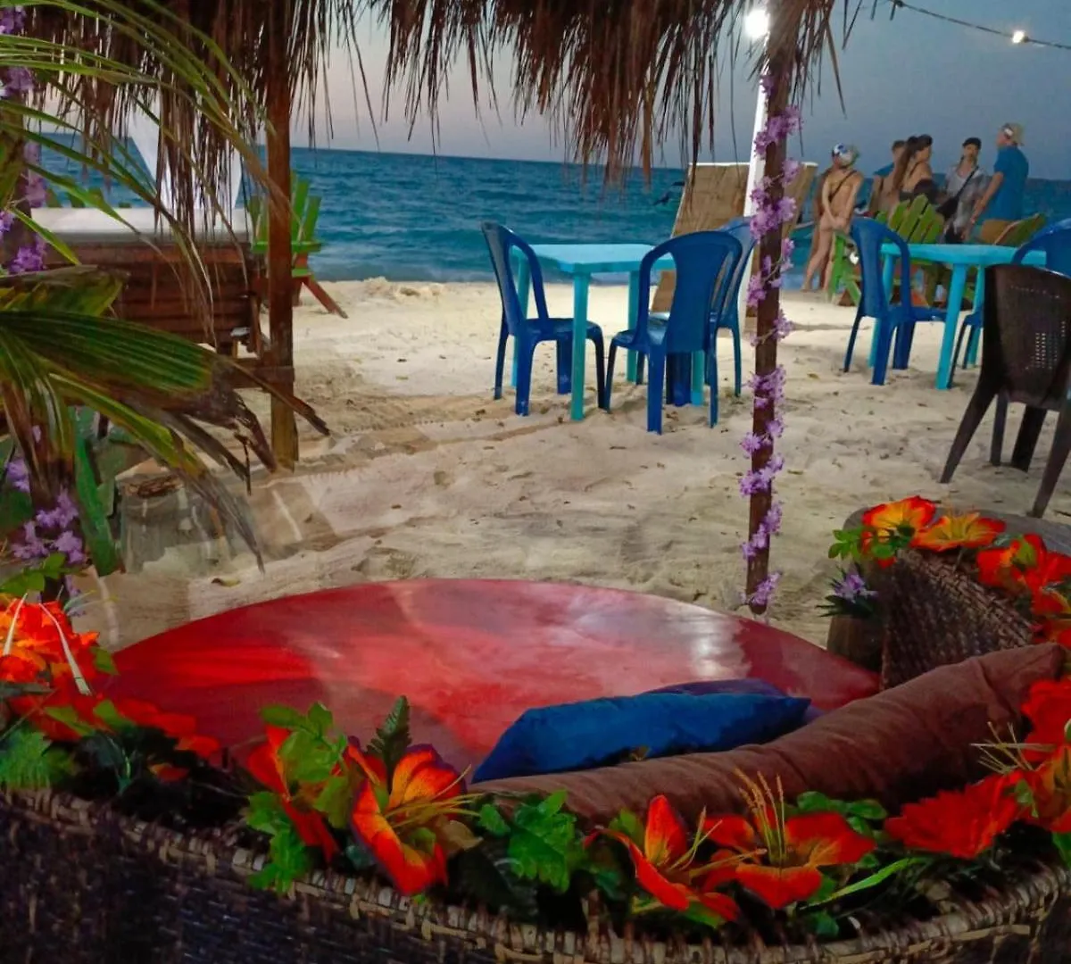 Afronautica Zulu Hostal Cano de Loro Konukevi