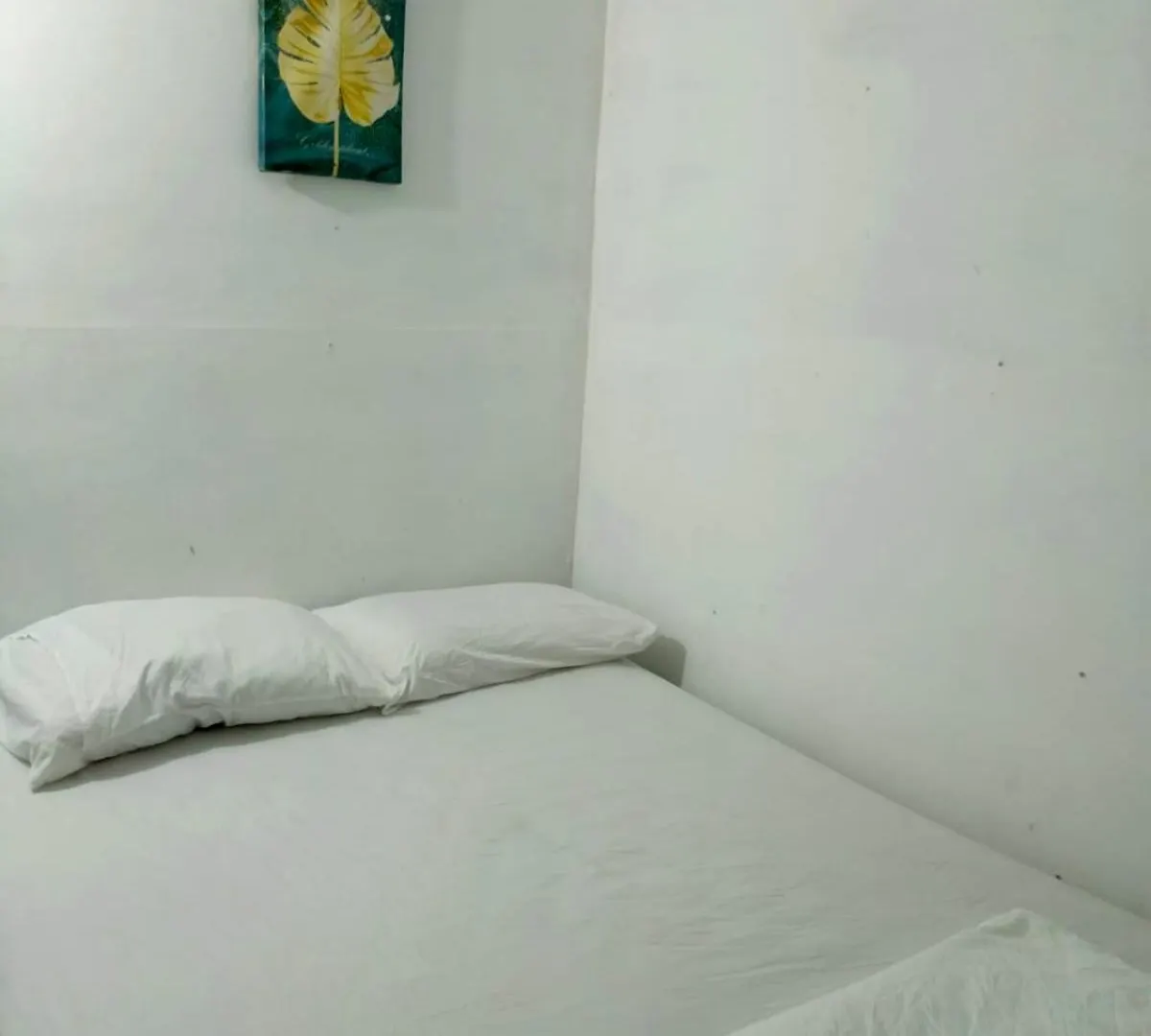 Afronautica Zulu Hostal Cano de Loro Guest house